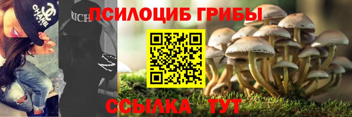 Галлюциногенные грибы Cubensis Ялта